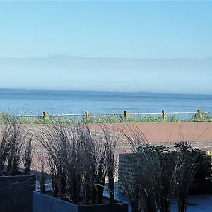 https://bennys-beach-house.zandvoort-hotels.com